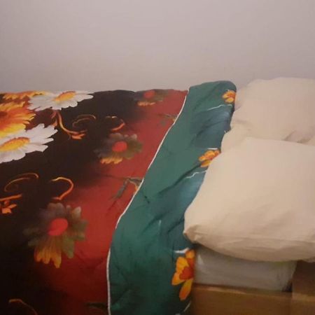 Lovely 1 Private Bedroom With Garden View Rotterdam Eksteriør billede