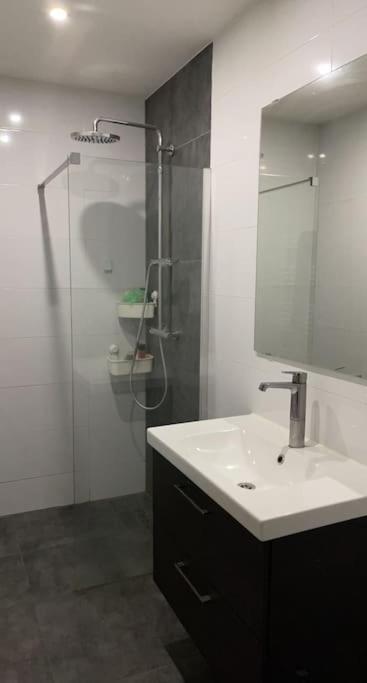 Lovely 1 Private Bedroom With Garden View Rotterdam Eksteriør billede
